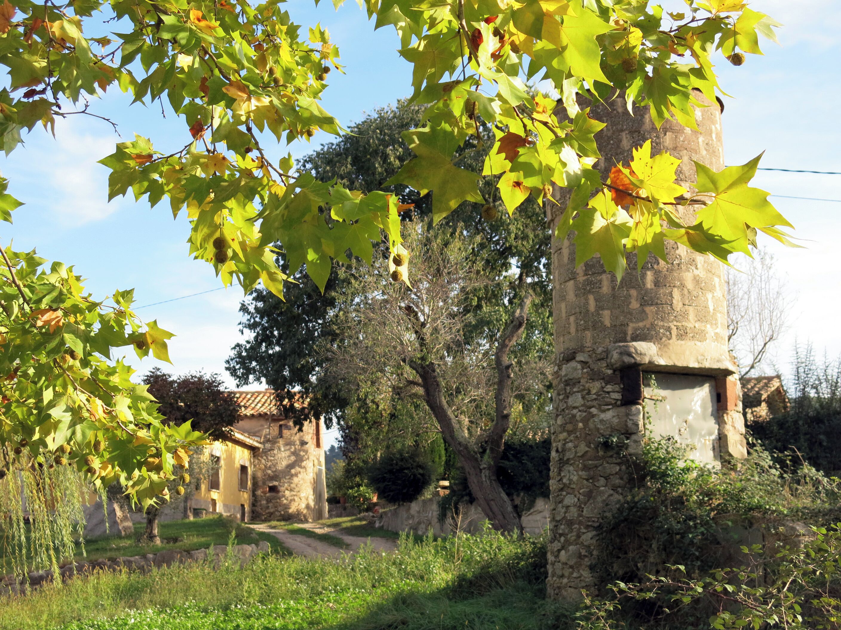 Les Falgueres (Centelles)