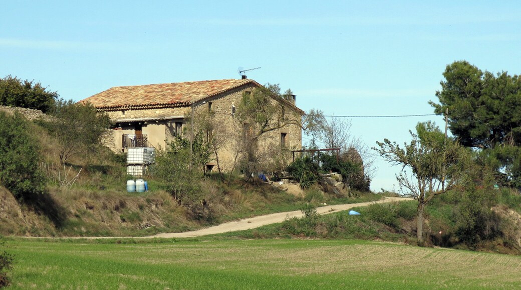 El Puig Vell (Centelles)