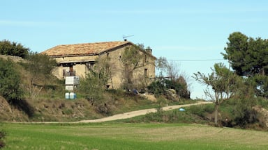 El Puig Vell (Centelles)