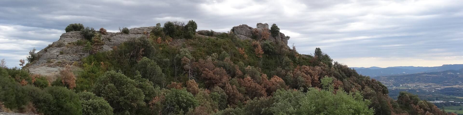 A rocky hill with trees and a castle ruin.