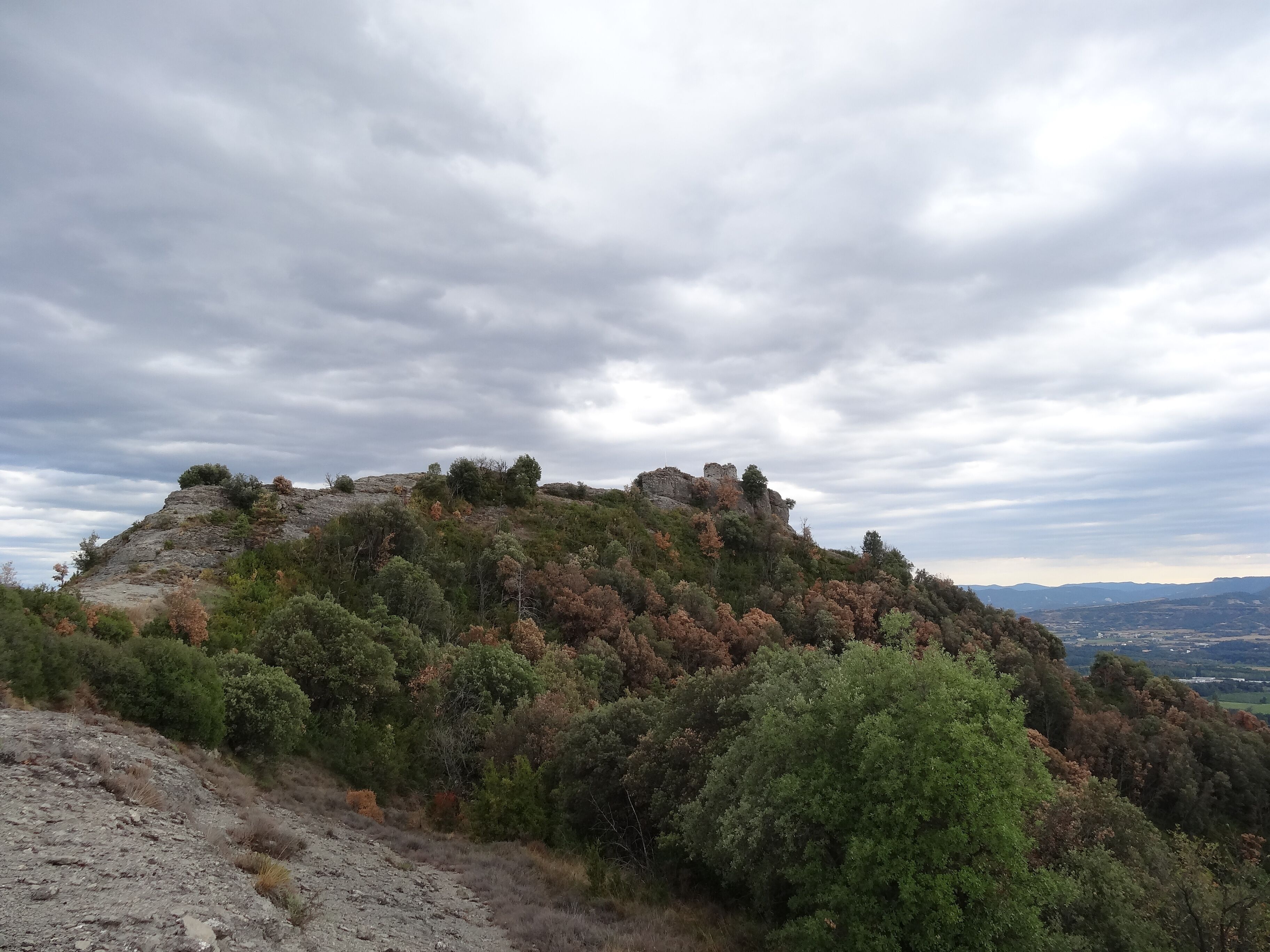 A rocky hill with trees and a castle ruin.