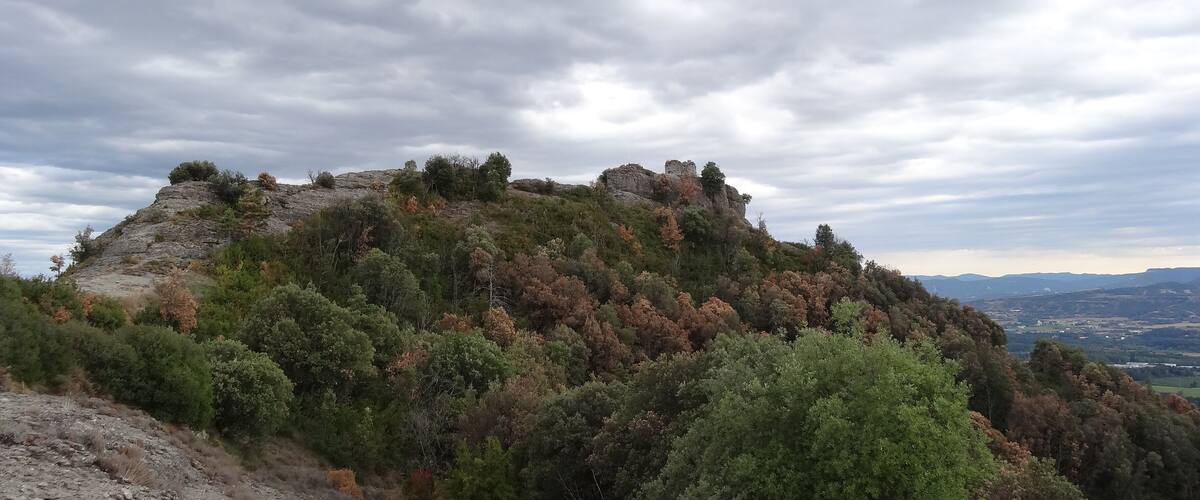 A rocky hill with trees and a castle ruin.