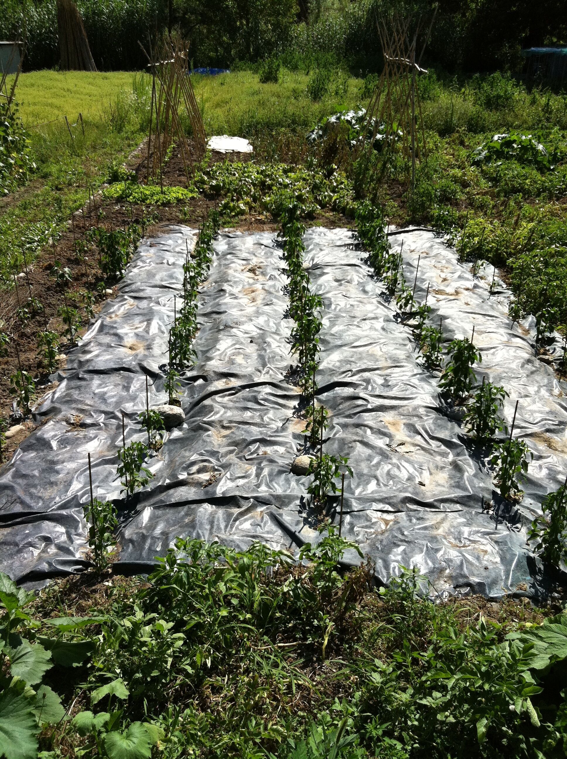 Borgonyà was a former industrial colony in the margin of the river Ter, in Osona, Catalonia