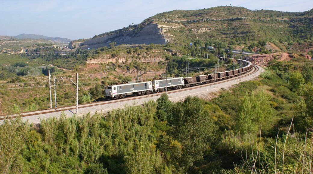 La 269.713 i la 269.703 proporcionen tracciĂł al saler Manresa -> Flix al seu pas pel municipi de Castellbell i el Vilar. La 269.713 y la 269.703 proporcionan tracciĂłn al salero Manresa -> Flix a su paso por el municipio de Castellbell i el Vilar.