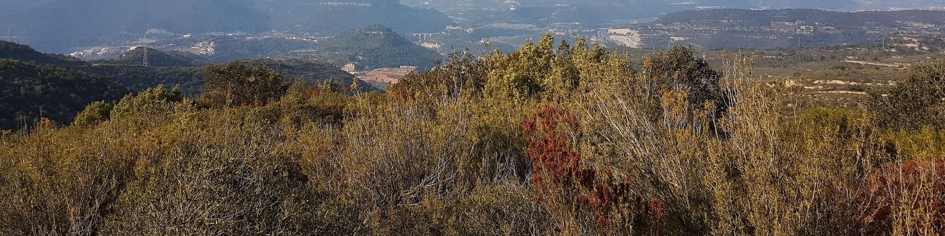 Vista des del cim del TurĂł de l'Escletxa (100 cims de la FEEC)