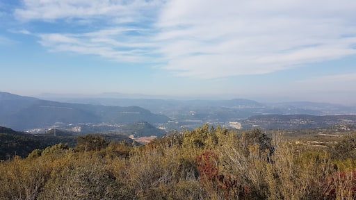 Vista des del cim del Turó de l'Escletxa (100 cims de la FEEC)