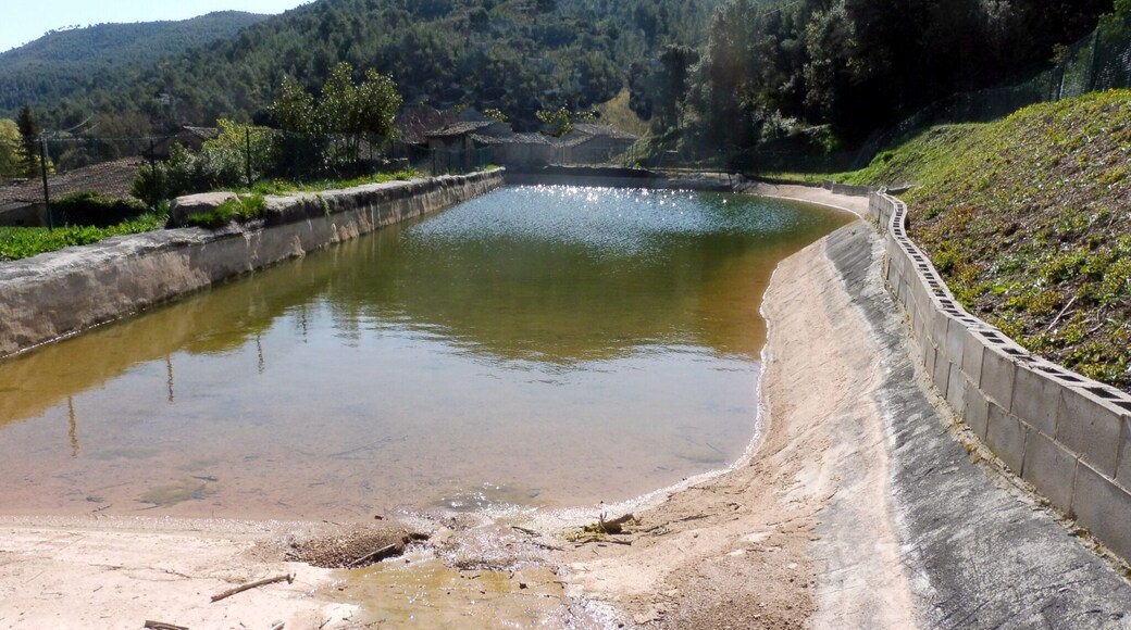 Molí de Castellar (Aguilar de Segarra): la bassa