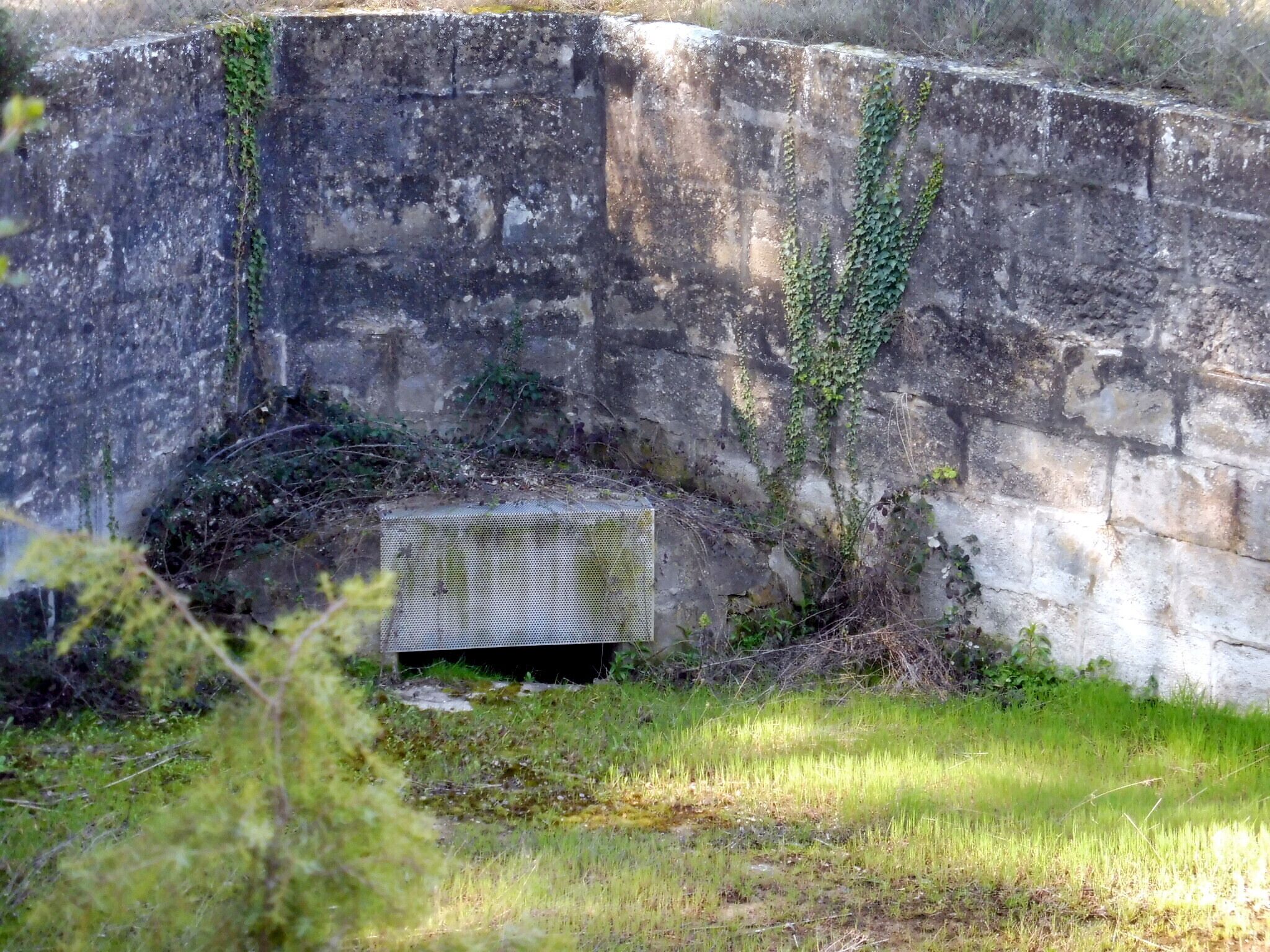 Molí del Ribalta de Baix (Aguilar de Segarra): la bassa