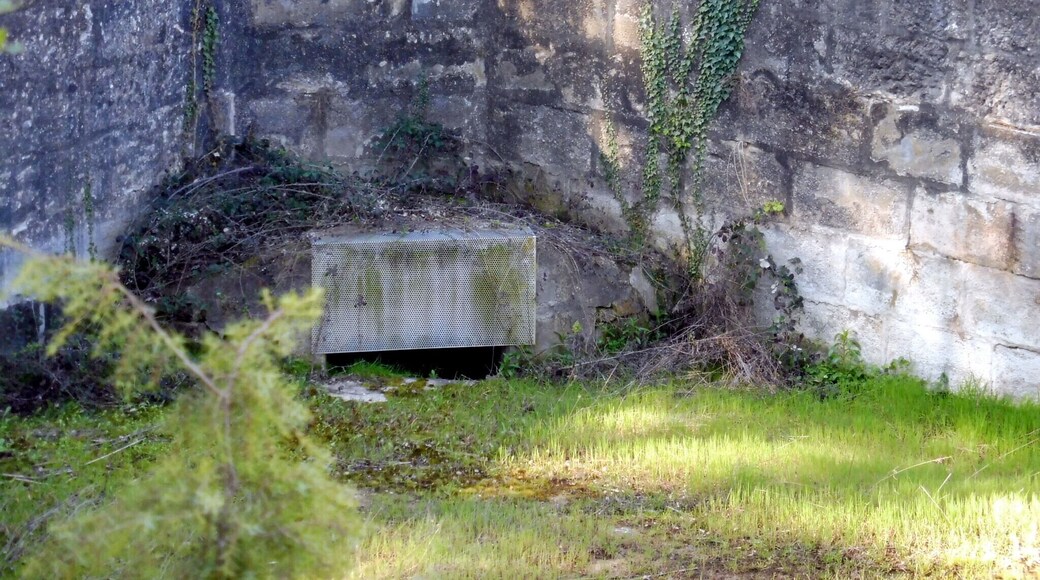 Molí del Ribalta de Baix (Aguilar de Segarra): la bassa