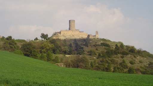 Boixadors (abril 2007)