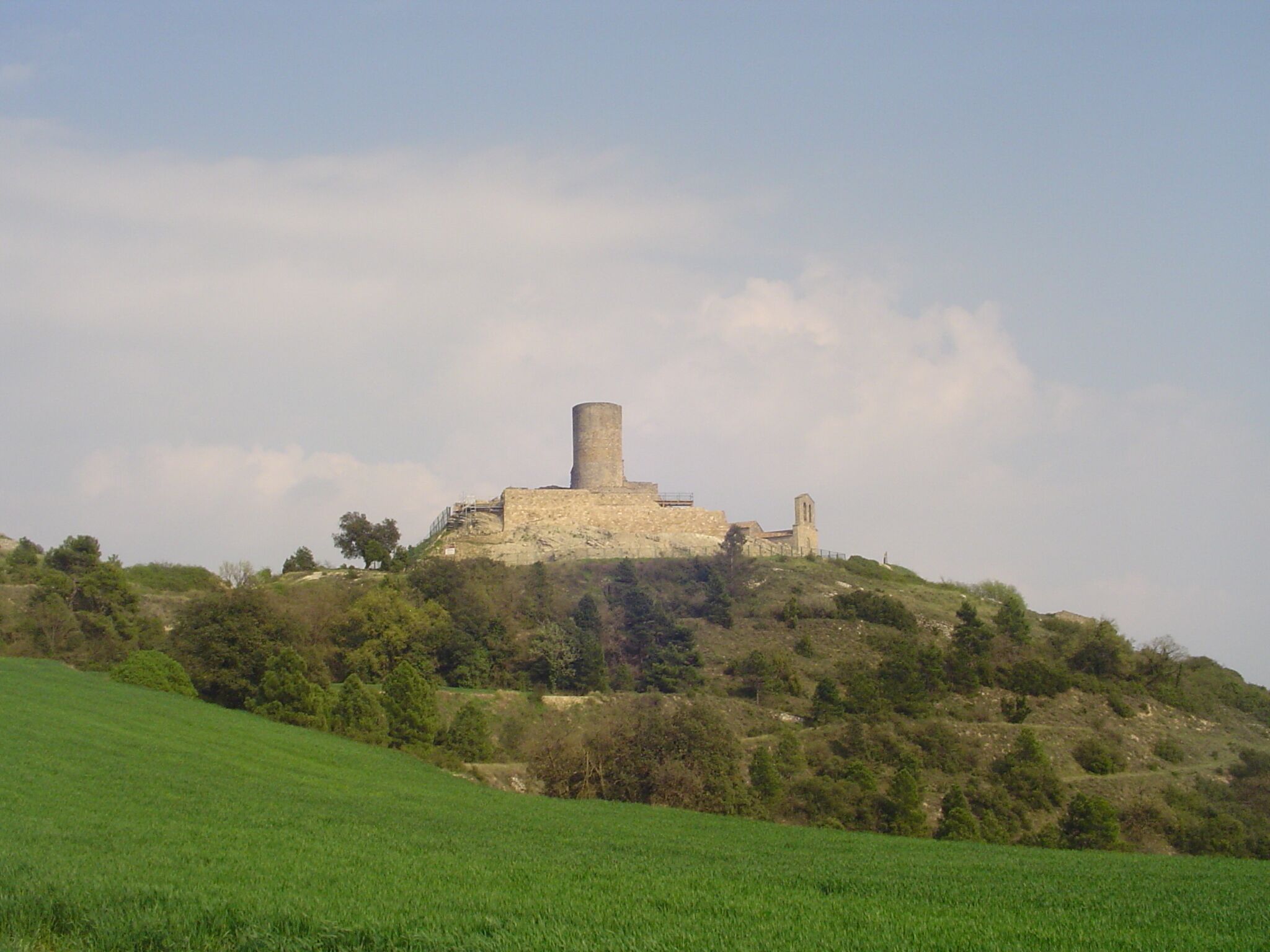 A historic stone castle on a hill with a tower, surrounded by green fields and trees.