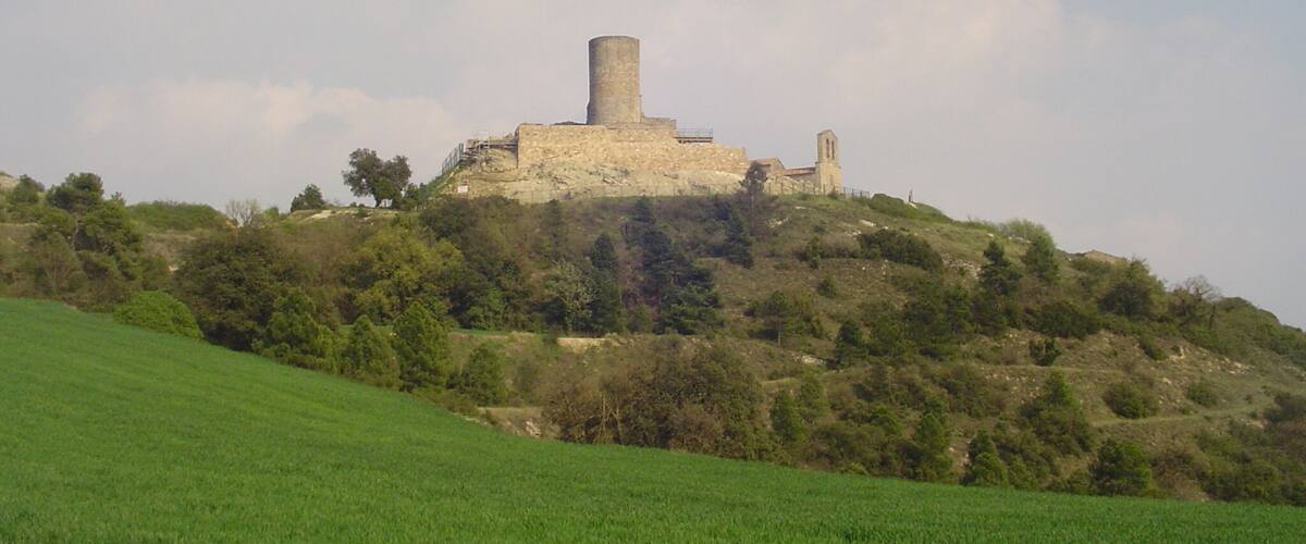 A historic stone castle on a hill with a tower, surrounded by green fields and trees.