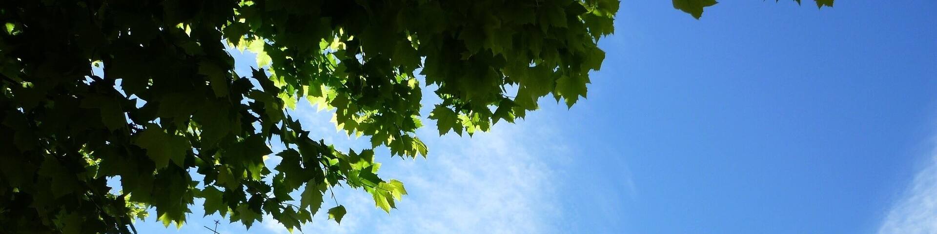 Església parroquial del Sagrat Cor de Sant Guim de Freixenet: vista posterior