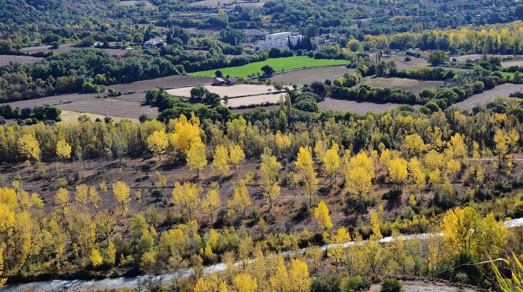 La Noguera Pallaresa sota Tremp