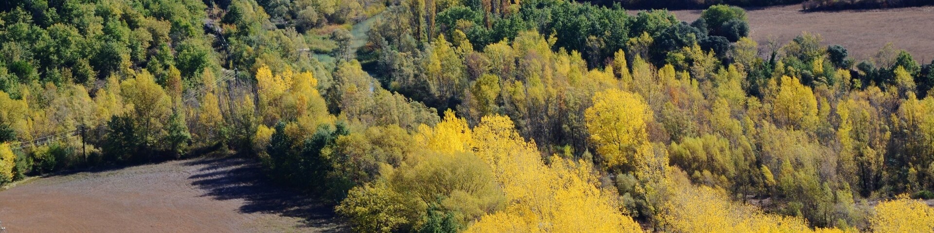 Un río serpentea por un bosque de follaje amarillo, con una cascada al fondo y una ladera rocosa.