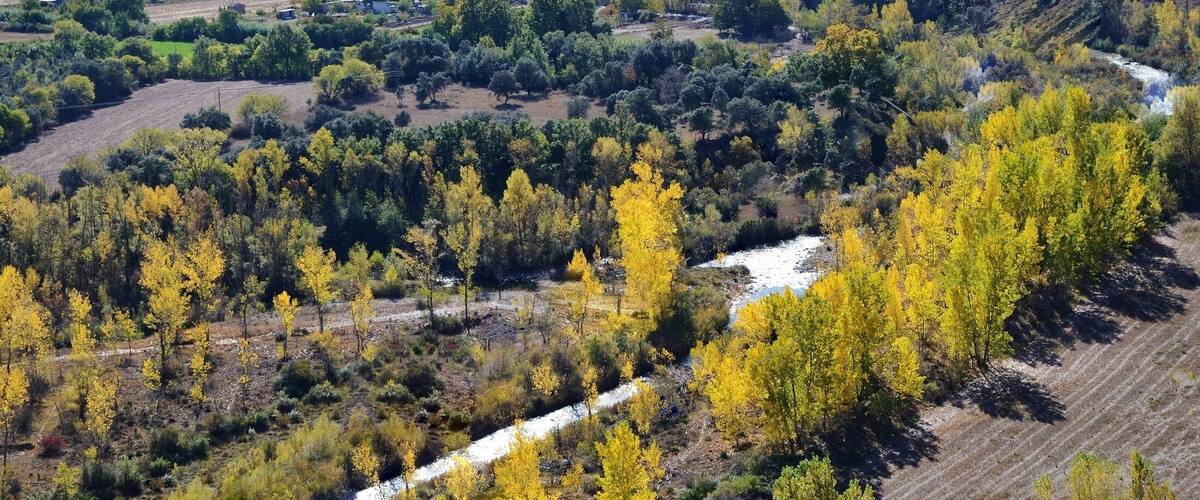 La Noguera Pallaresa sota Tremp