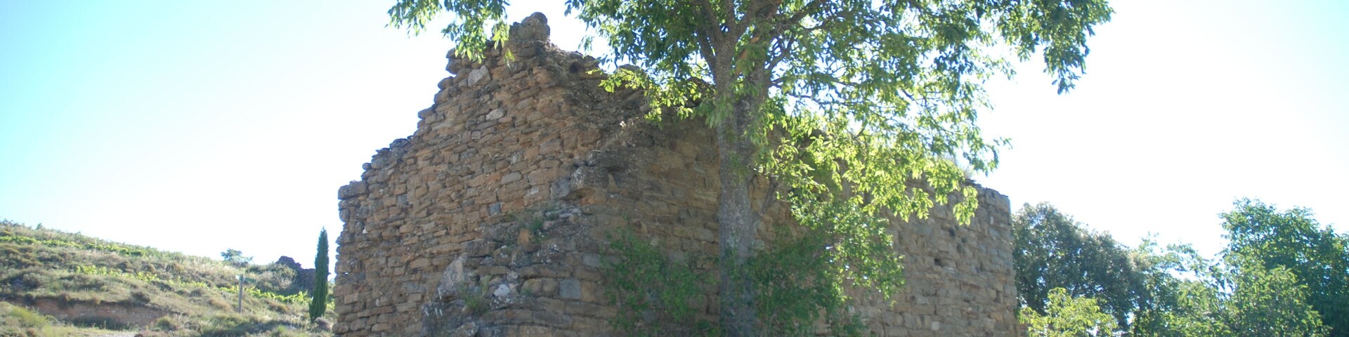 A stone ruin with a tree growing on top, surrounded by grass and a clear sky.