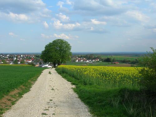 Martinskreuz u. Tauberfeld