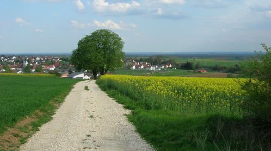 Martinskreuz u. Tauberfeld