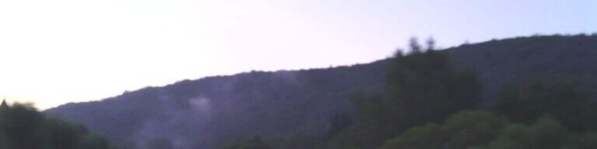 Foto der Altmühl von der Solnhofner Altmühlbrücke flussabwärts aufgenommen im Sommer 2015 früh morgens