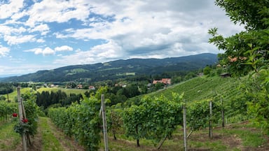 panorama old wine growing area named Schilcherstrasse near Stainz in Styria, Austria