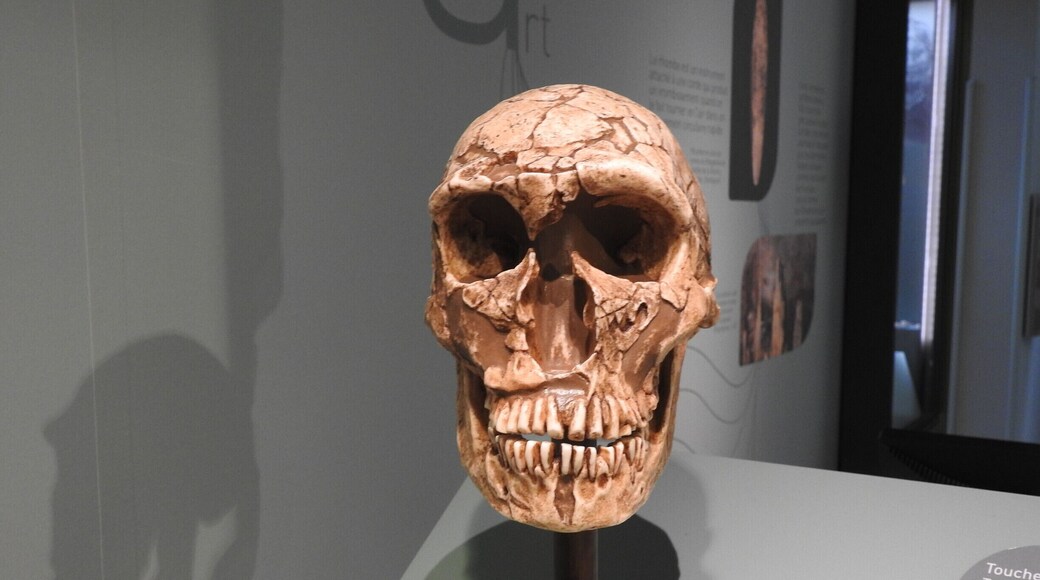 Neanderthal/néandertalien :
Our ancestors living in these caves there are some thousands of years.
Nos ancètres vivant dans ces grottes il y a quelques milliers d'années.