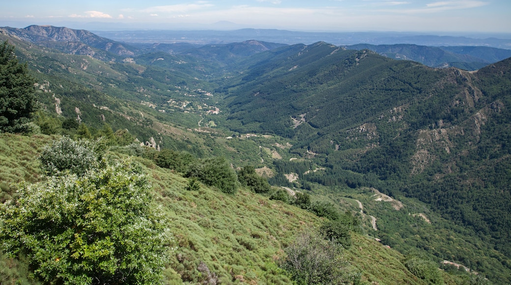 Vallée cévenole au pied des monts du Tanargue dans l'Ardèche