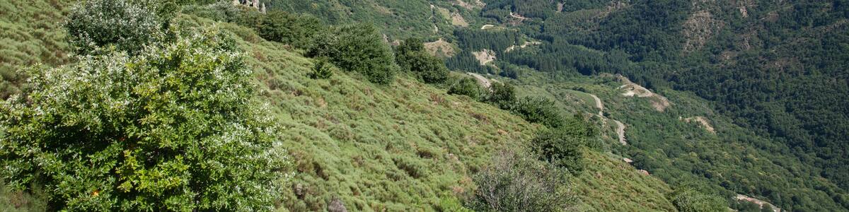 Vallée cévenole au pied des monts du Tanargue dans l'Ardèche