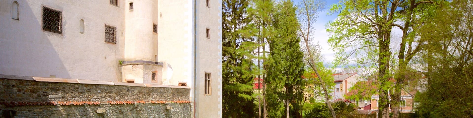 Telc showing a garden