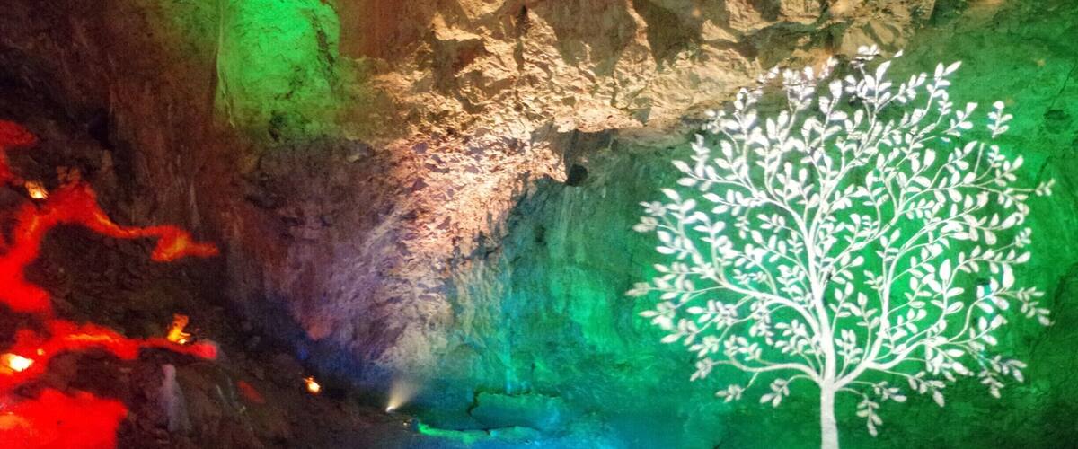 A cave with a tree silhouette illuminated in white.
