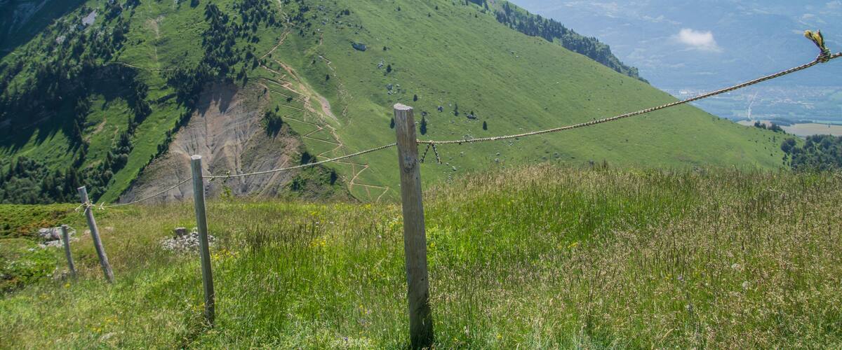 A mountainous landscape with a grassy valley, a wooden fence, and distant snow-capped peaks.