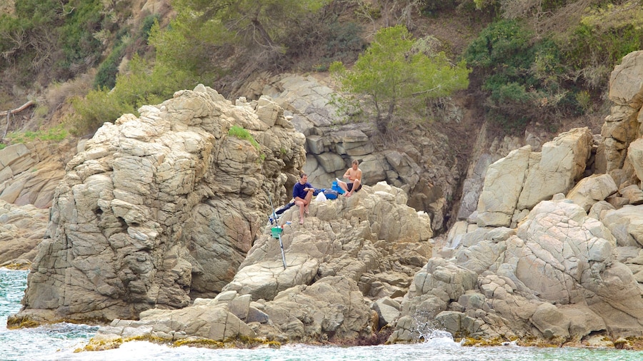 Playa Treumal mostrando vistas de una costa y litoral rocoso y también un grupo pequeño de personas