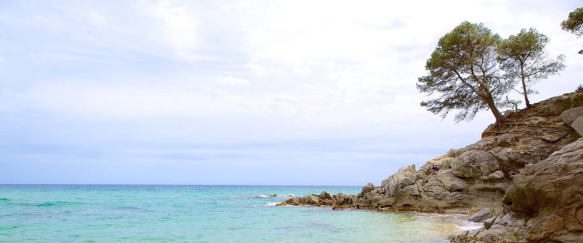 Treumal Beach featuring general coastal views, a sandy beach and rocky coastline