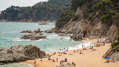 Cala Boadella Beach featuring a sandy beach, general coastal views and rugged coastline