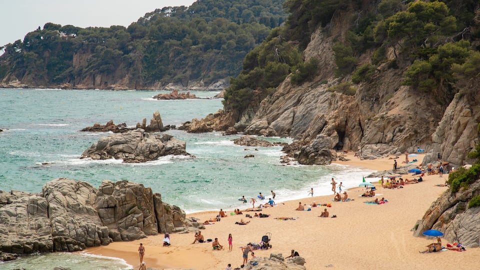 A rocky beach with people sunbathing and swimming.