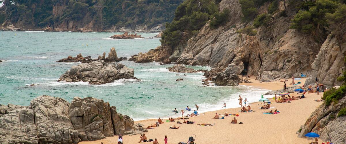 A rocky beach with people sunbathing and swimming.