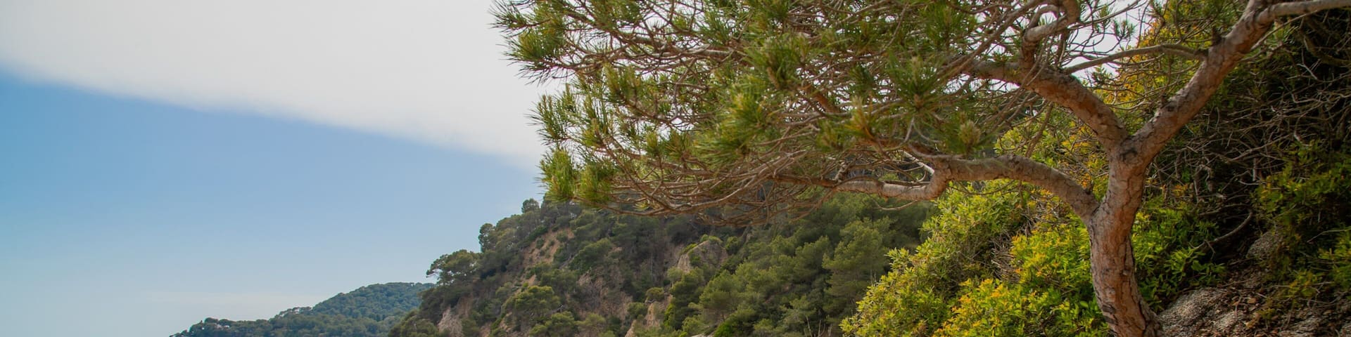 Cala Boadella Beach which includes a sandy beach, rugged coastline and general coastal views