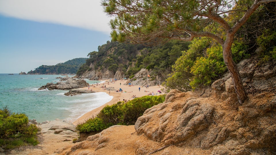 A coastal beach with rocky terrain and a clear view of the sea.