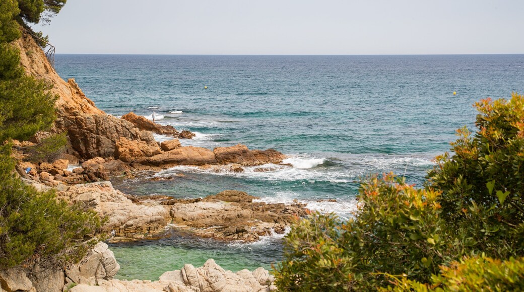 Cala Boadella Beach featuring rocky coastline and general coastal views
