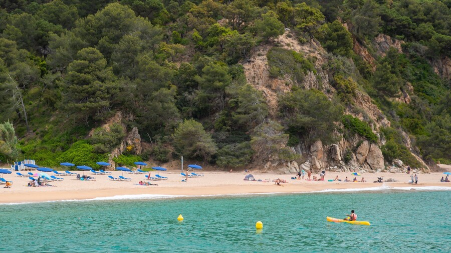 Cala Canyelles Beach featuring rocky coastline, a sandy beach and general coastal views