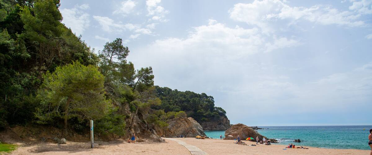 Cala Canyelles Beach which includes general coastal views and a sandy beach