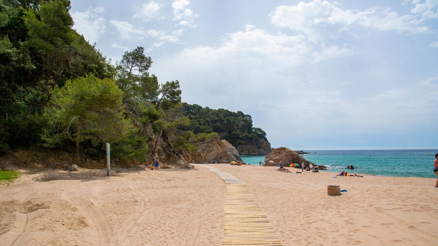 Cala Canyelles Beach which includes general coastal views and a sandy beach