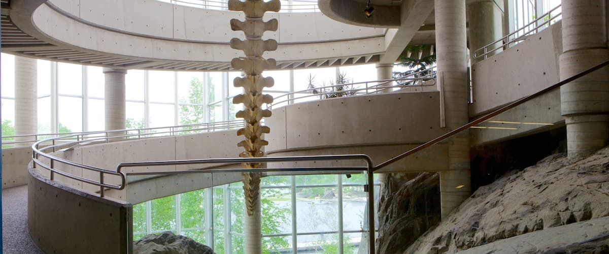 A spiral staircase with a central column, large windows, and a view of a rocky landscape.
