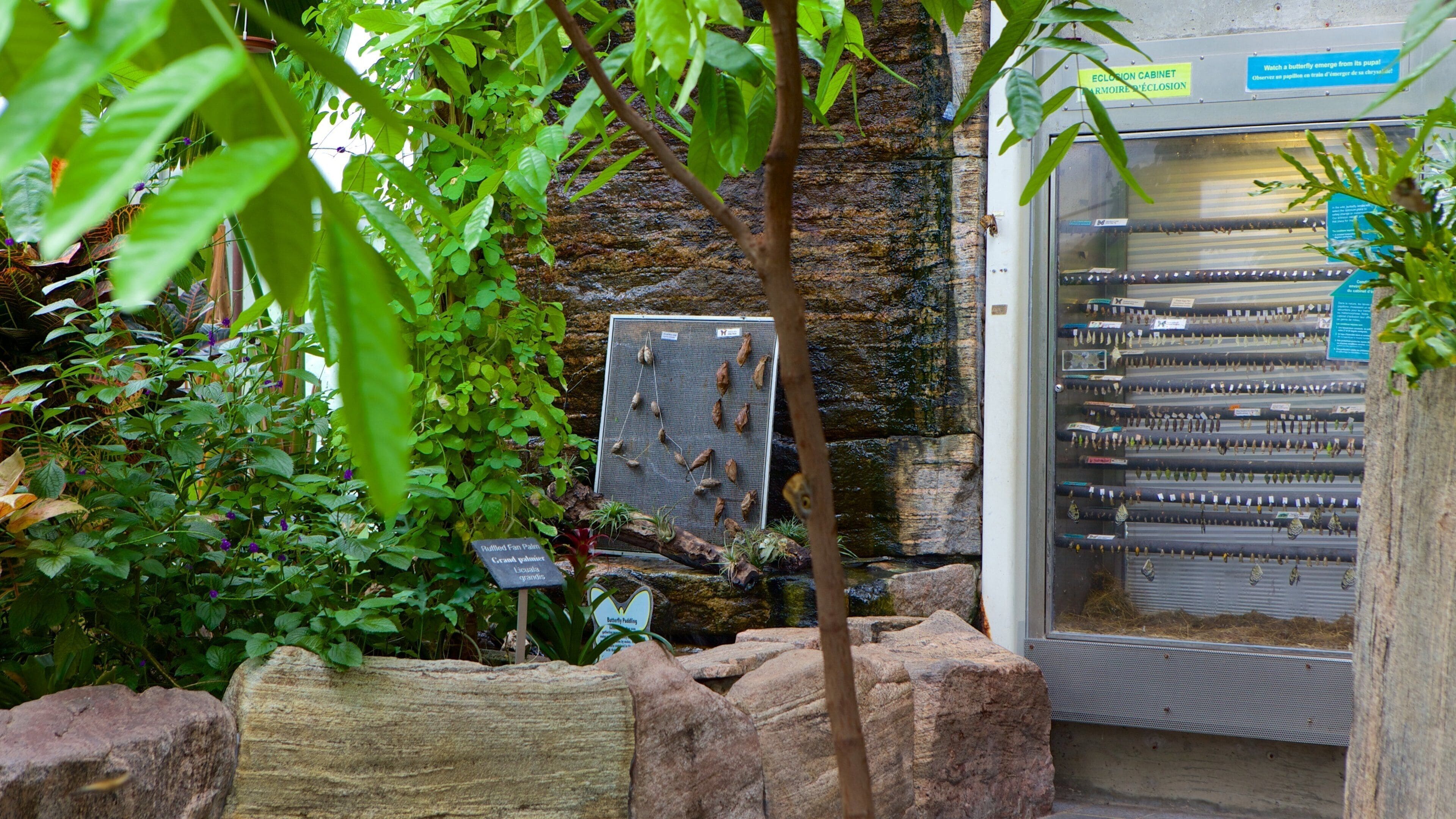 Science North fasiliteter samt innendørs