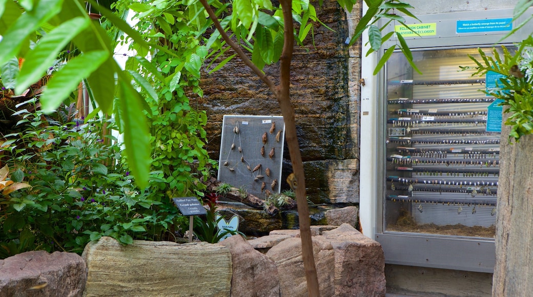 Science North featuring interior views
