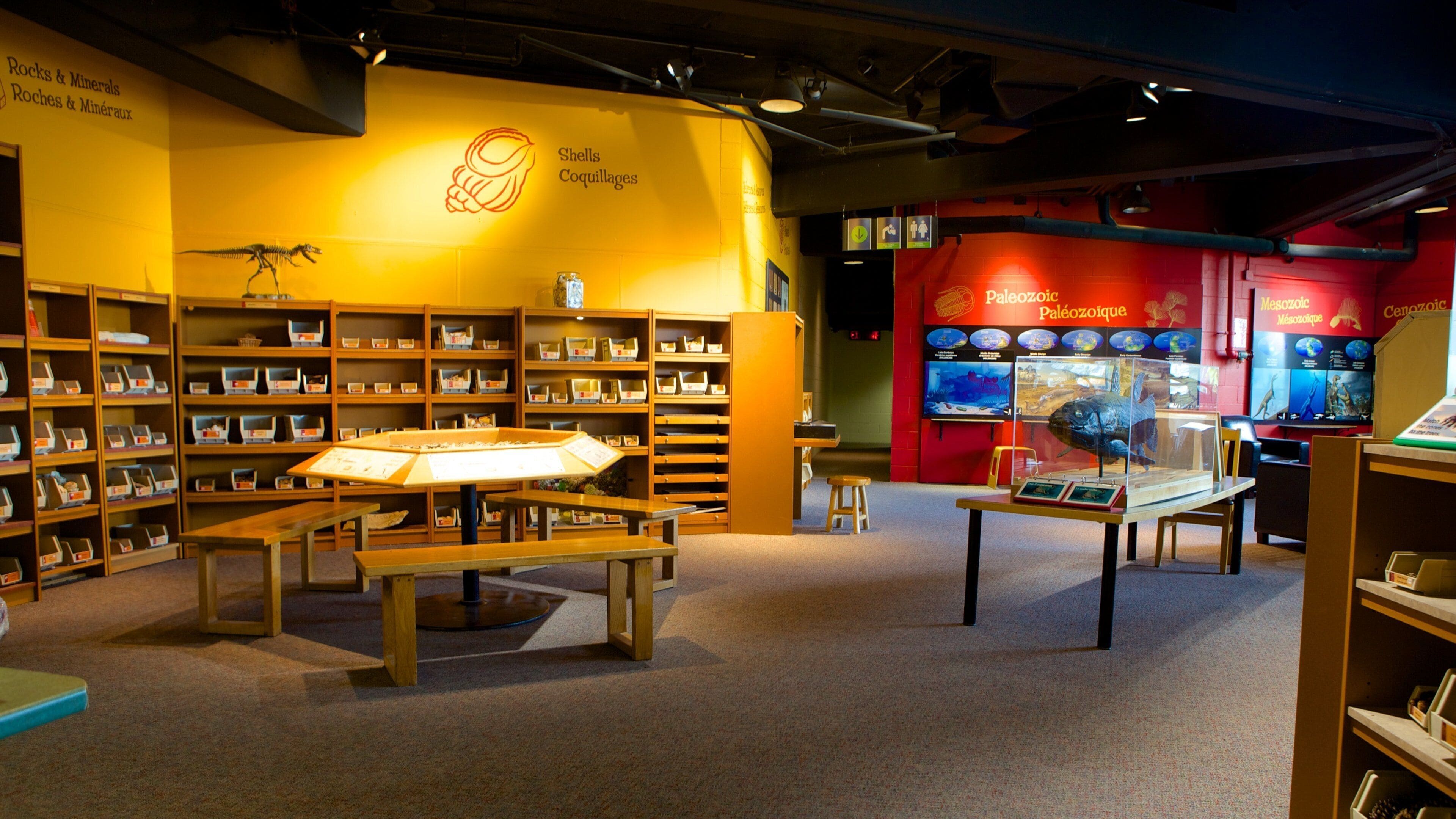 Science North showing interior views