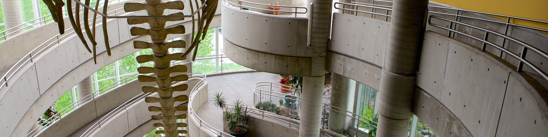 Science North featuring interior views
