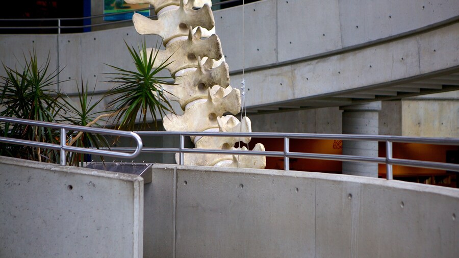 사이언스 노스 을 특징 실내 전경