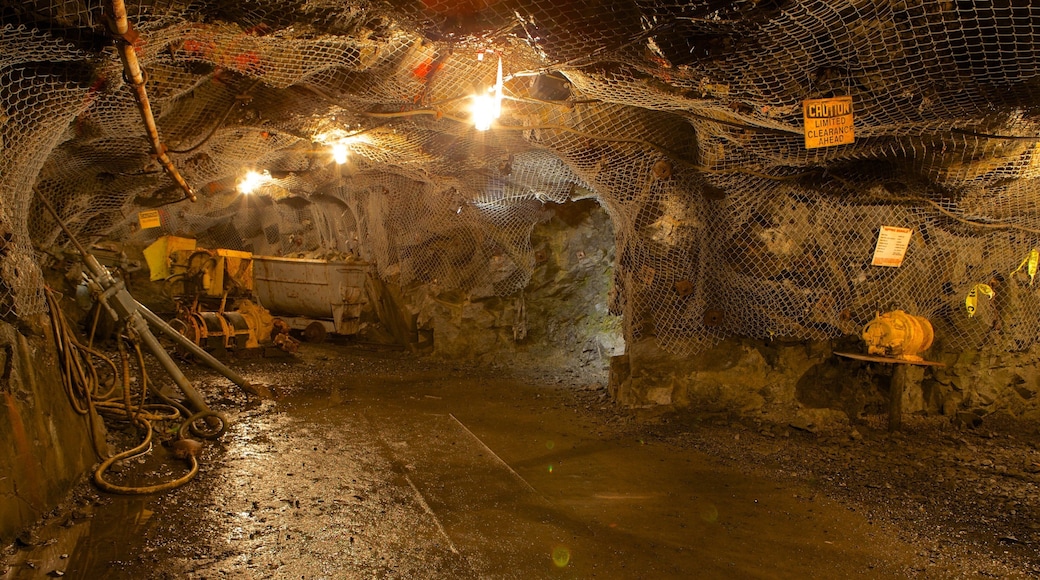 Dynamic Earth which includes interior views and caves