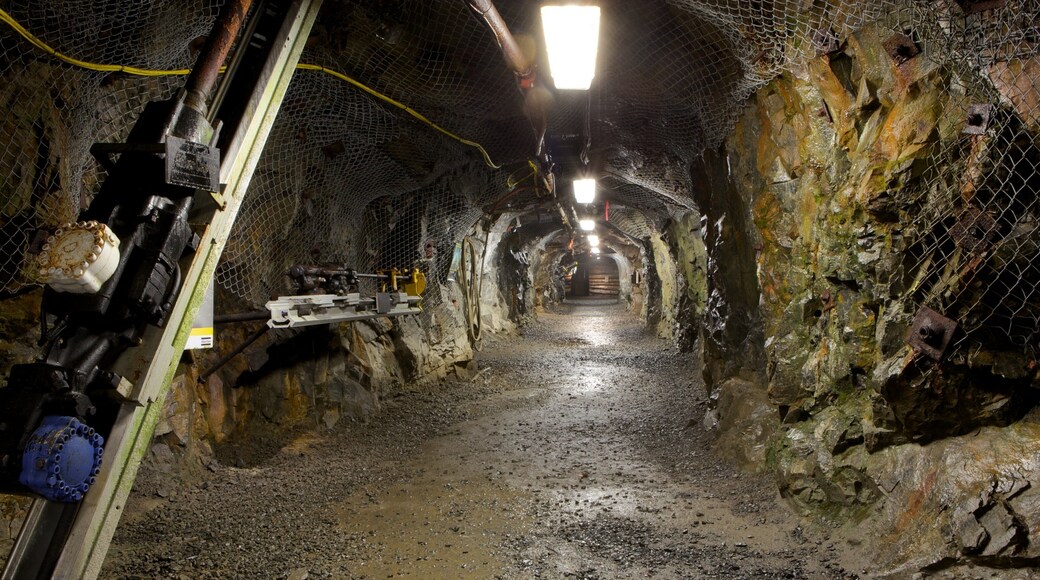 Dynamic Earth som viser interiør og huler